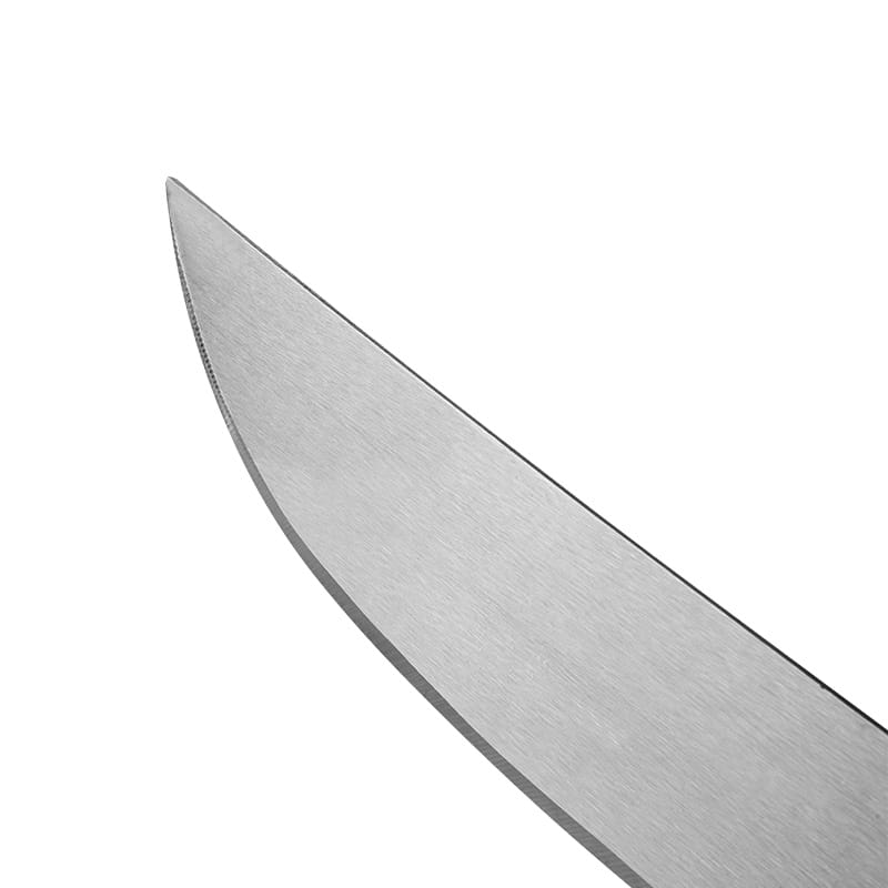 Dao phát quang - ảnh 5